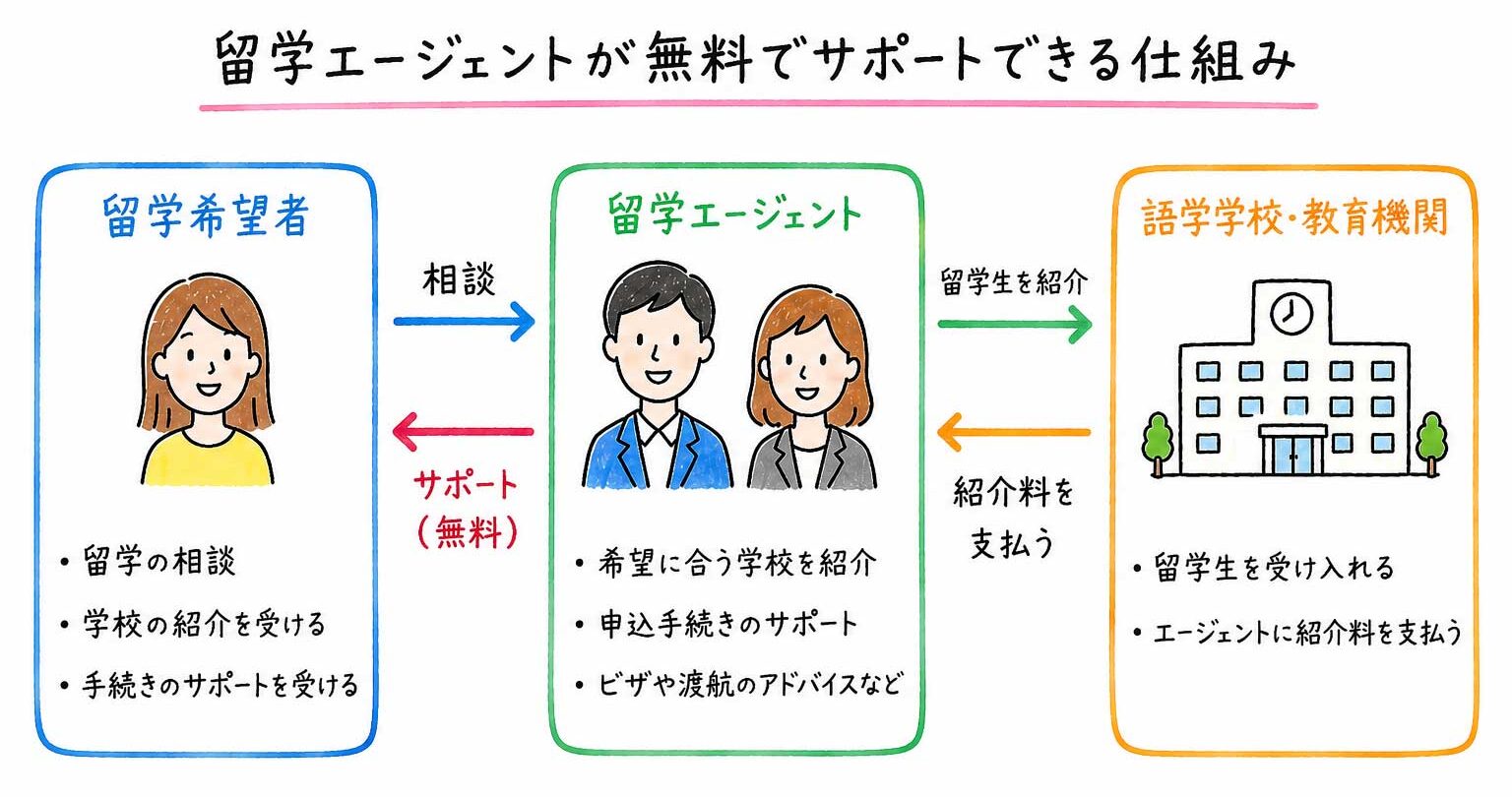 留学エージェントが無料の仕組み
